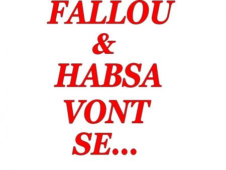 fallou et habsa